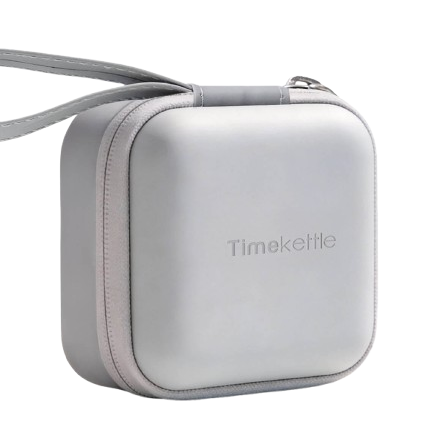 W4 AI Interpreter Earbuds Case