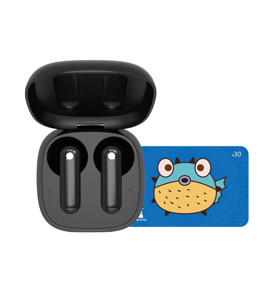 Timekettle WT2 Edge Translator Earbuds Black